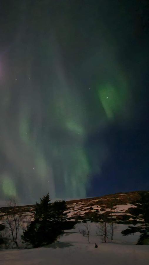 Steinhusith Hotel Holmavik Esterno foto